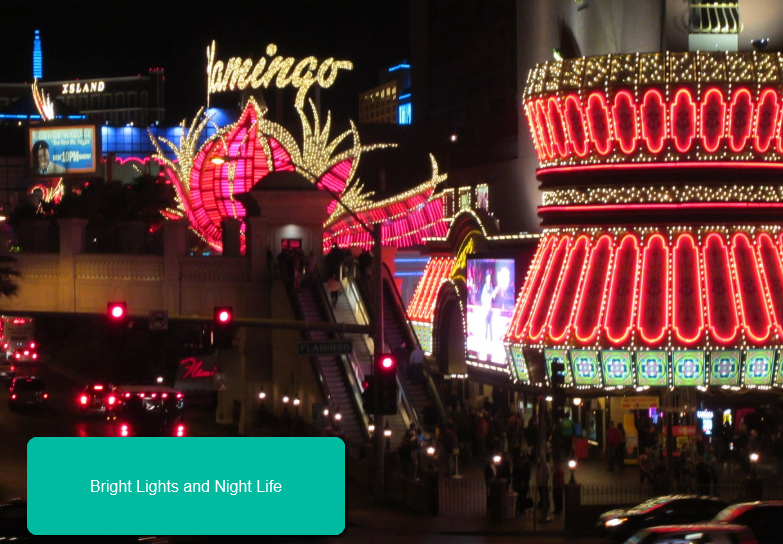 Night Life